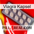 Viagra Capsule 08